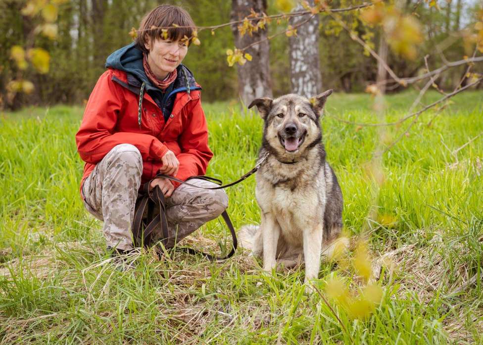 Собаки в Москве: Соня - собака-компаньон Девочка, Бесплатно - фото 4