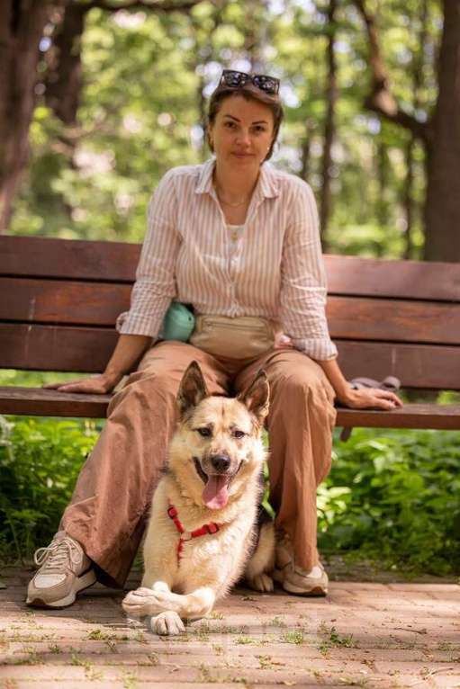 Собаки в Москве: Пеппи ищет дом. И ждёт его всей душой. Девочка, Бесплатно - фото 6