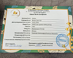Кошки в Омске: Мейн-кун Мальчик, 40 000 руб. - фото 3