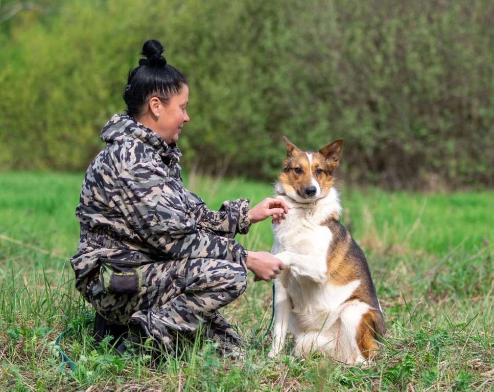 Собаки в Москве: Нежная и миниатюрная девочка Жужа ищет дом Девочка, 1 руб. - фото 9