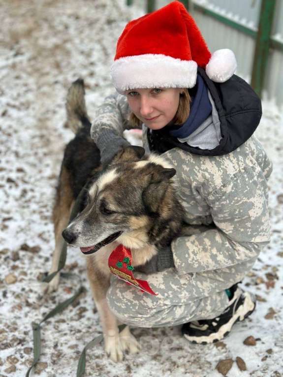 Собаки в Москве: Гоша Мальчик, Бесплатно - фото 6