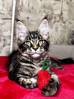 Девочка черный мрамор