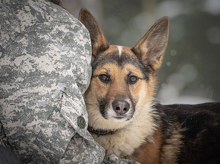 Кокос — добрый и звонкий мальчишка в поисках самого лучшего хозяина