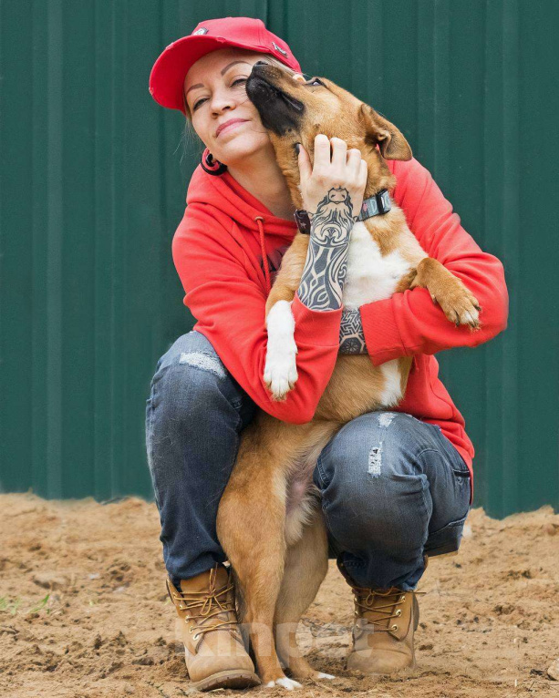 Собаки в других городах Московской области: Малыш Арчи ждет семью Мальчик, Бесплатно - фото 2