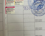 Собаки в Хабаровске: Продается щенок чихуахуа Девочка, 35 000 руб. - фото 3