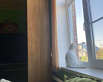Кошки в Тольятти: Отдам в очень добрые руки  Мальчик, Бесплатно - фото 3