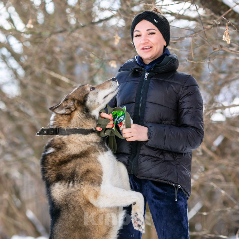 Собаки в Москве: Весёлый, активный породистый Лайк оказался в приюте и ждёт свою семью Мальчик, Бесплатно - фото 3