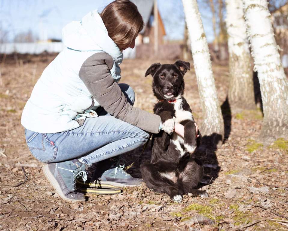 Собаки в Москве: Щенок в добрые руки Мальчик, Бесплатно - фото 3