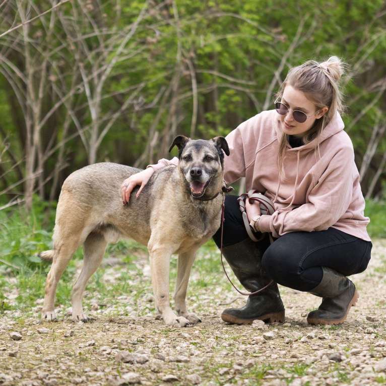 Собаки в Москве: Шустрик Мальчик, Бесплатно - фото 4