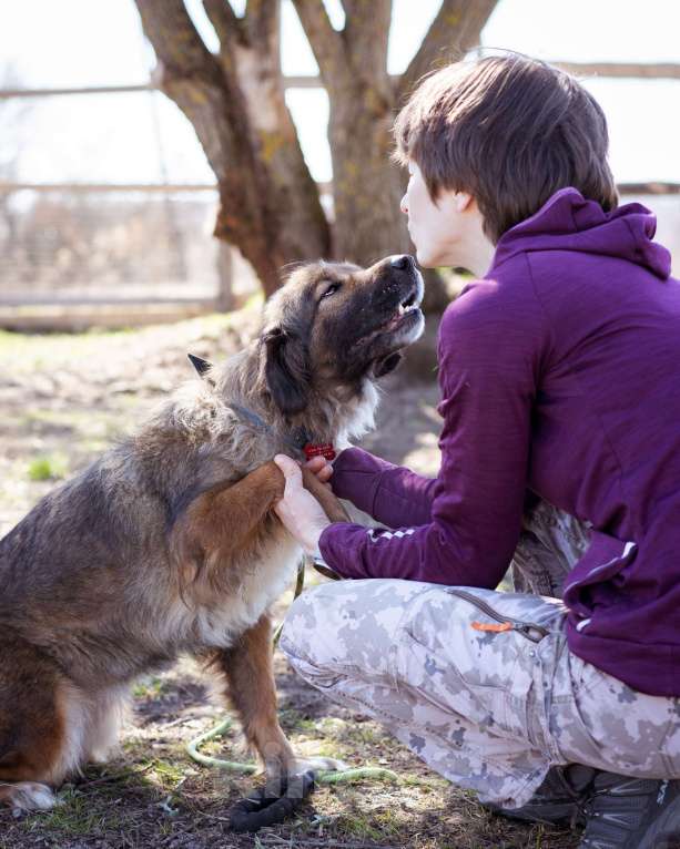 Собаки в Москве: Девочка в добрые руки Девочка, Бесплатно - фото 3