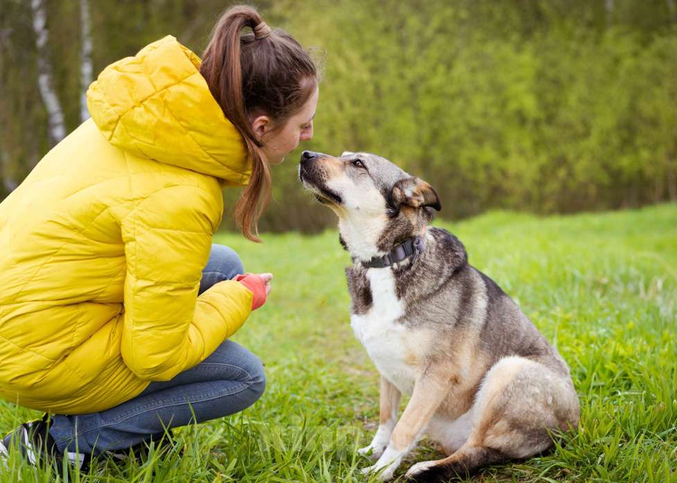 Собаки в Москве: Особенная девочка ищет дом Девочка, Бесплатно - фото 9