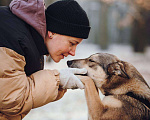 Собаки в Москве: Милая Корица ищет дом Девочка, Бесплатно - фото 3