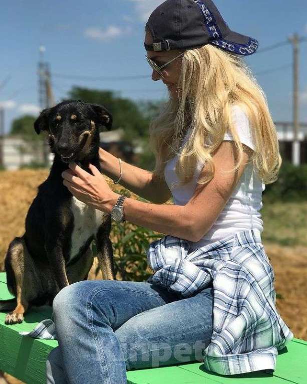 Собаки в Москве: Малышка Девочка, Бесплатно - фото 3