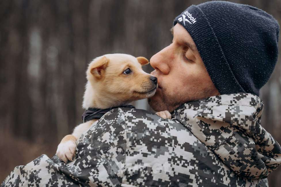 Собаки в Москве: Щенок в добрые руки Мальчик, Бесплатно - фото 5