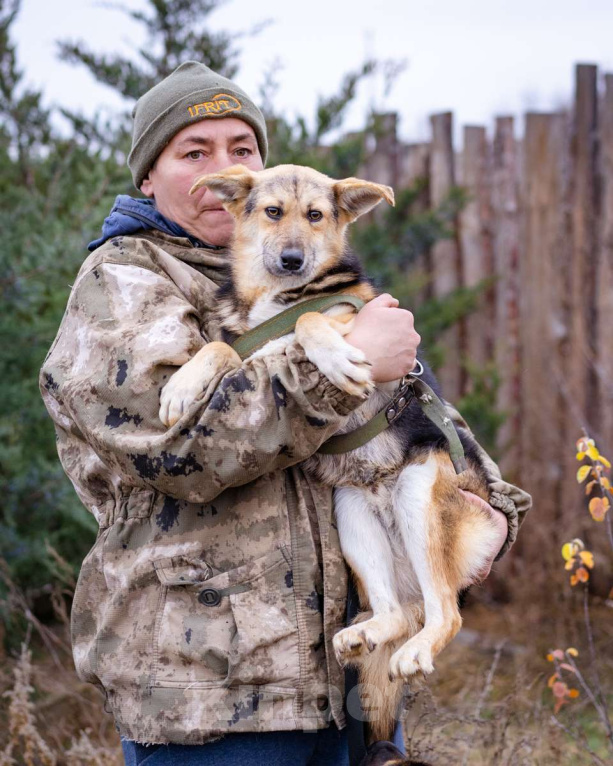 Собаки в Москве: Скромный, небольшой мальчик в добрые руки Мальчик, Бесплатно - фото 2