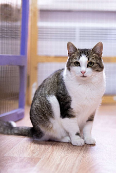 Она спасла своих малышей. Теперь спасите её