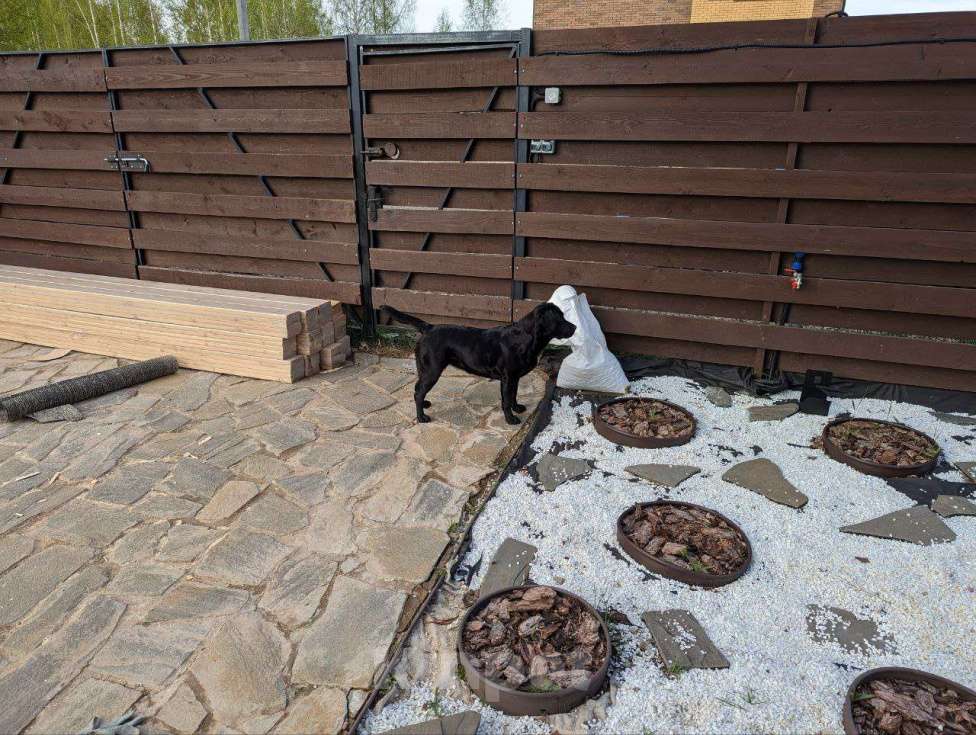 Собаки в Ижевске: Пропала черная собака лабрадор Девочка, Бесплатно - фото 1