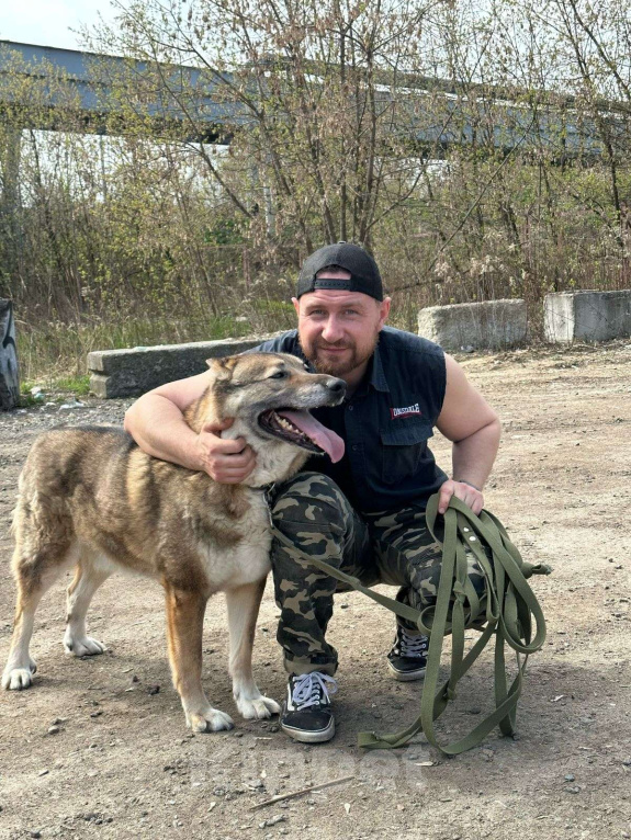 Собаки в Москве: Акела Мальчик, Бесплатно - фото 3