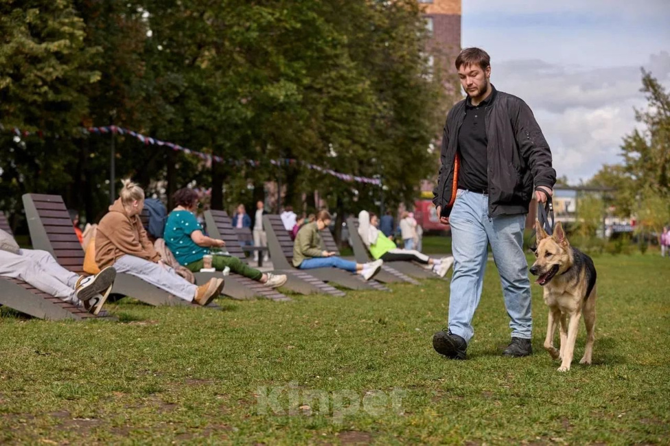 Собаки в Нижнем Новгороде: Метис хаски и немецкой овчарки Мальчик, Бесплатно - фото 5