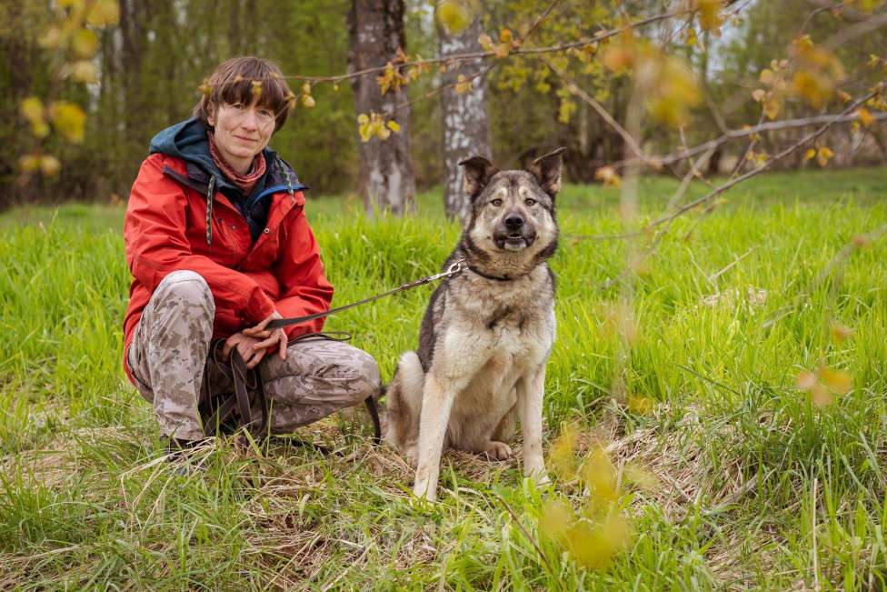 Собаки в Москве: Соня - собака-компаньон Девочка, Бесплатно - фото 6
