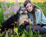 Собаки в Троицке: Дениска ищет дом! Мальчик, Бесплатно - фото 4
