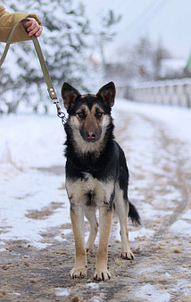 Джейн очень нужен дом 