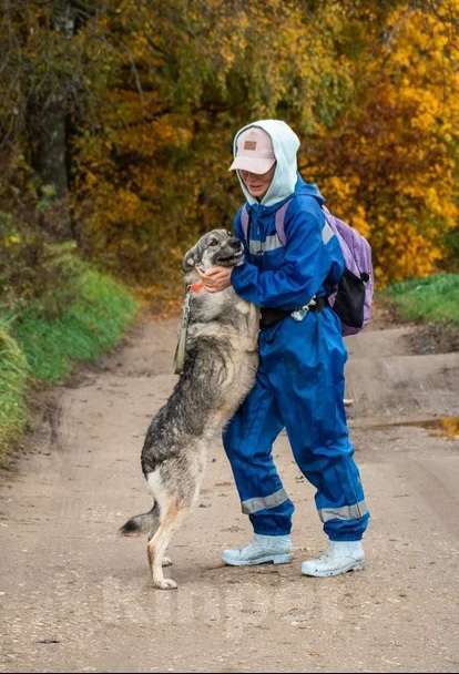 Собаки в Москве: Нежной Марси очень нужен дом  Девочка, Бесплатно - фото 3