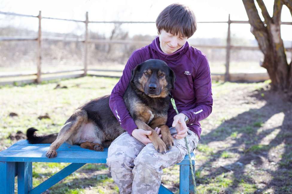Собаки в Москве: Супер-ласковый пёс в приюте, ищет дом Мальчик, Бесплатно - фото 2