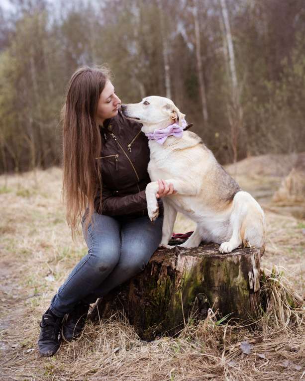 Собаки в Москве: Собака из приюта в добрые руки! Девочка, Бесплатно - фото 8