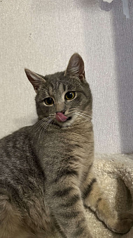 Малыш ищет постоянный дом