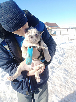 ММ ДЕМАР РОККО