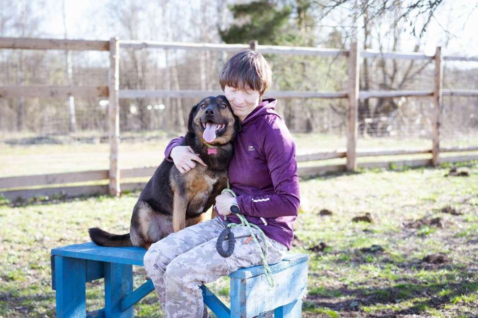 Собаки в Москве: Супер-ласковый пёс в приюте, ищет дом Мальчик, Бесплатно - фото 6