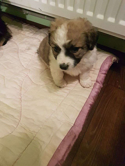 счастливые глазки ждут тебя