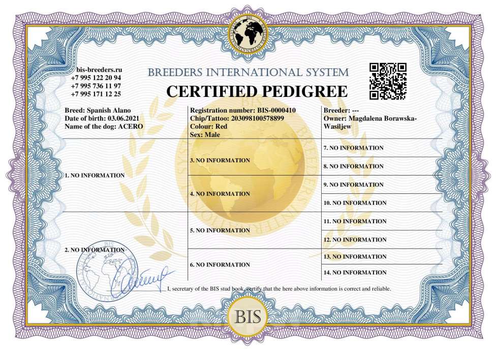 Собаки в Москве: Породистые и красивые щенки Алано Мальчик, Бесплатно - фото 4