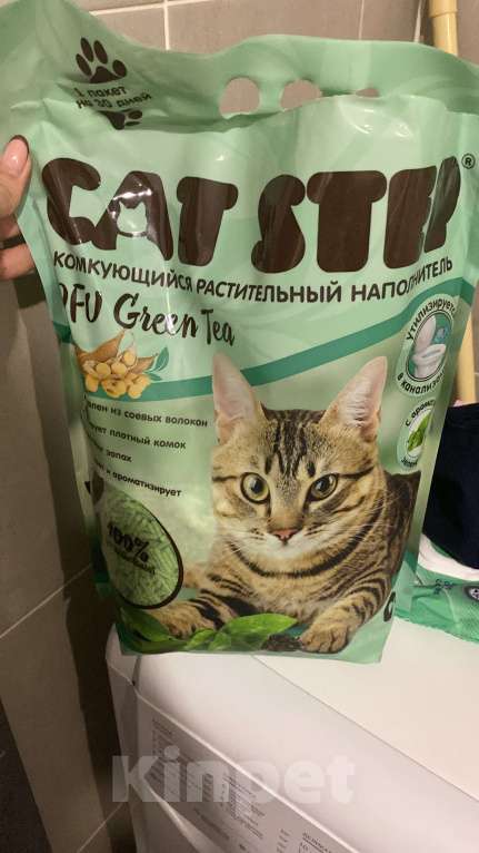 Кошки в Ростове-на-Дону: Канадский сфинкс  Мальчик, Бесплатно - фото 8