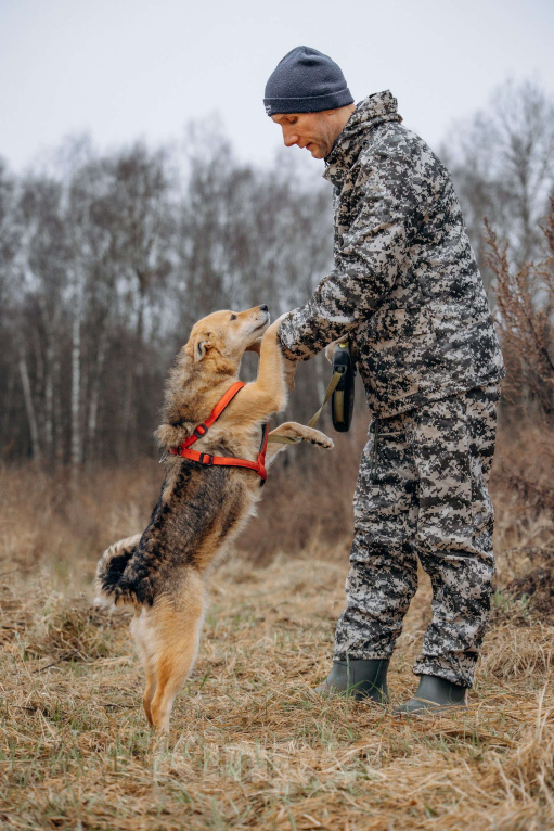 Собаки в Москве: Девчонка-веселушка, позитив и искреннее счастье Девочка, Бесплатно - фото 3