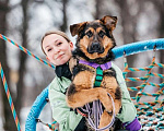 Собаки в Москве: Фьючерс ищет дом! Мальчик, Бесплатно - фото 8