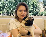 Собаки в Москве: Шарли Шеннон Мальчик, 80 000 руб. - фото 7