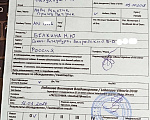 Собаки в Санкт-Петербурге: Зуллус чихуа кобби тип, бэби фейс Мальчик, 100 000 руб. - фото 6