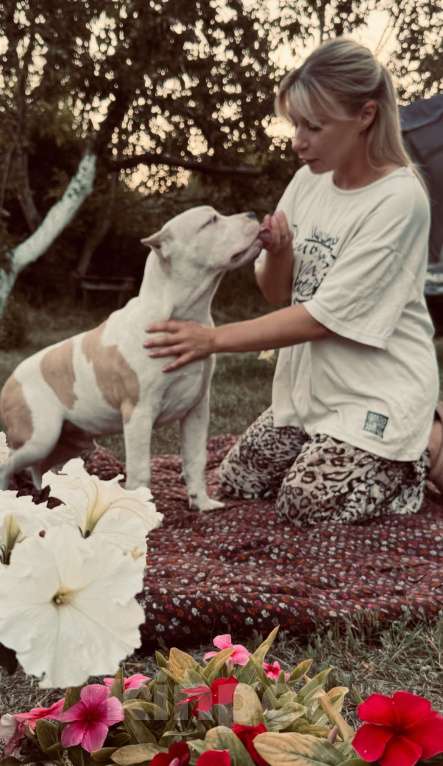 Собаки в Саратове: Бруно Мальчик, Бесплатно - фото 5