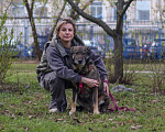 Собаки в Москве: Дуся хочет домой Девочка, Бесплатно - фото 7