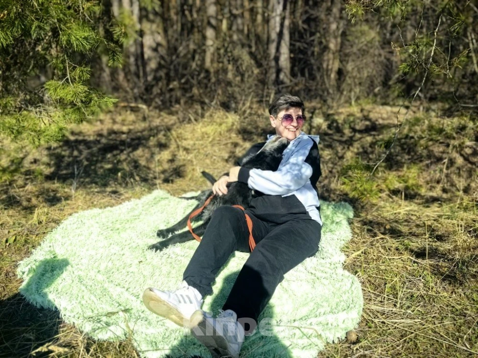 Собаки в Электрогорске: Баги сдали в приют Девочка, Бесплатно - фото 2