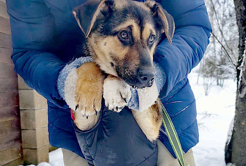 Кай шикарный парень