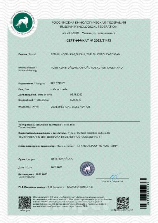 Собаки в Мытищах: Вязка Корги Кардиган(Юный Чемпион России) Мальчик, Бесплатно - фото 5