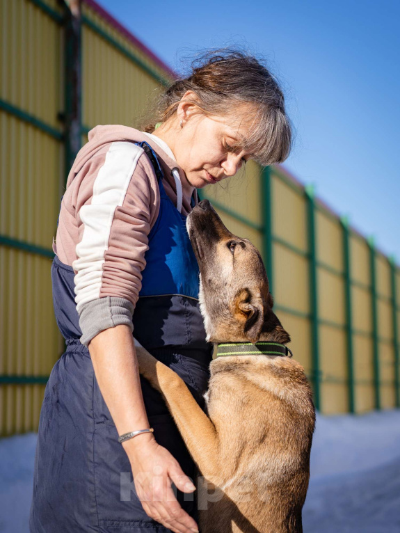 Собаки в Москве: Небольшая собачка в добрые руки Девочка, Бесплатно - фото 1