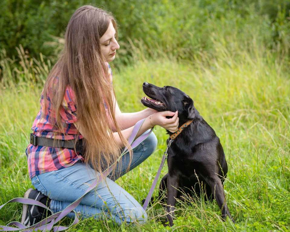 Собаки в Москве: Девочка в добрые руки Девочка, Бесплатно - фото 7
