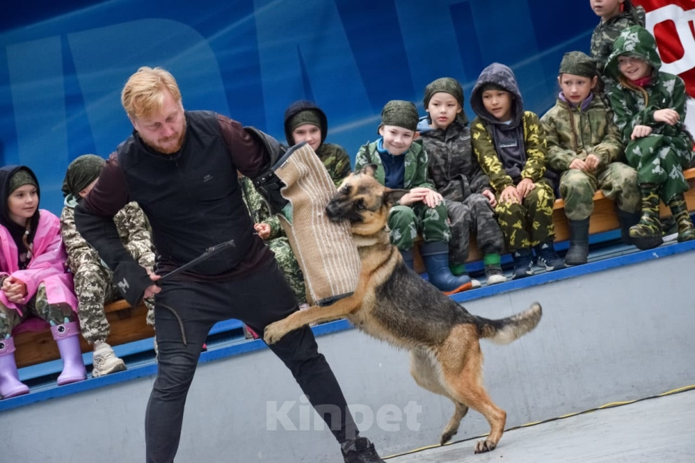 Собаки в Екатеринбурге: Щенки восточноевропейской овчарки ВЕО Разнополые, 45 000 руб. - фото 9