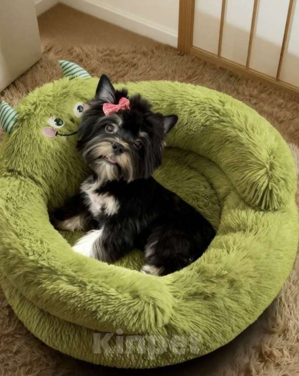 Собаки в Москве: Подрощенный щенок йорка девочка стандарт Девочка, 90 000 руб. - фото 6