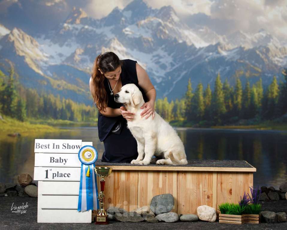 Собаки в других городах Московской области: 5 месяцев малыши Мальчик, 75 000 руб. - фото 3