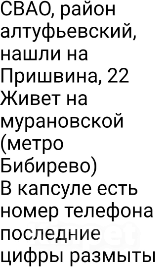 Собаки в Москве: Найдена чихуа девочка Лила Девочка, Бесплатно - фото 2